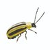 Kaplan Lab (@kaplan_lab) Twitter profile photo Kaplan Lab (@kaplan_lab) Twitter profile photo