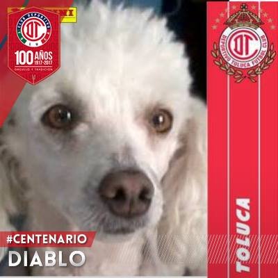 deptoluca's profile picture. Soy Rojo de Corazón y Diablo por Convicción.
