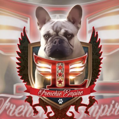 mini English bulldog and French bulldog breeder from San Diego ca. add me on Instagram @r_frenchie_empire thanks in advance for following...