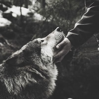 «Bisogna sempre essere prudenti con i libri e con ciò che contengono, perchè le parole hanno il potere di cambiarci.»