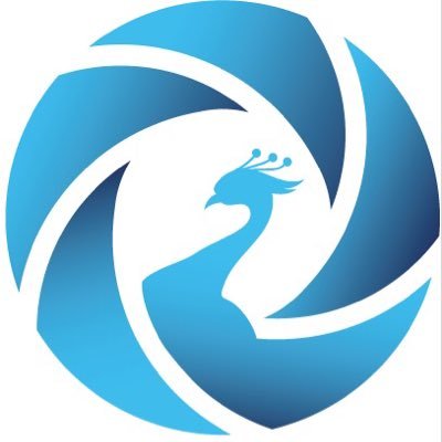 paonbleuht's profile picture. Financial education, Fintech