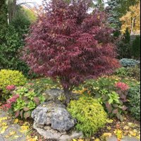 Ken Boichuk (@ken_boichuk) 's Twitter Profile