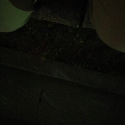Media Tweets By Nacchi Rot5md Twitter