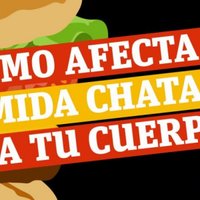 comida chatarra(@ChatarraComida) 's Twitter Profile Photo