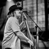 tom freund (@tomfreund) 's Twitter Profile