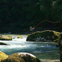 MountainStream (@mendipapple) 's Twitter Profile