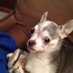 Tammy S Cox (@tammyco42555735) Twitter profile photo Tammy S Cox (@tammyco42555735) Twitter profile photo