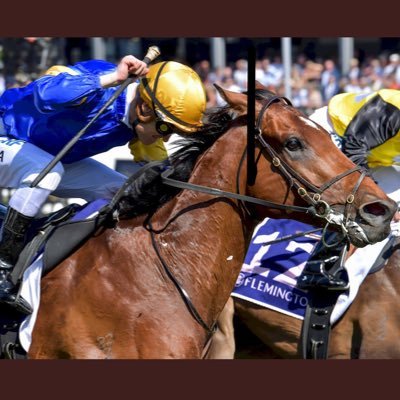 Australian Bloodstock agent based in Hong Kong