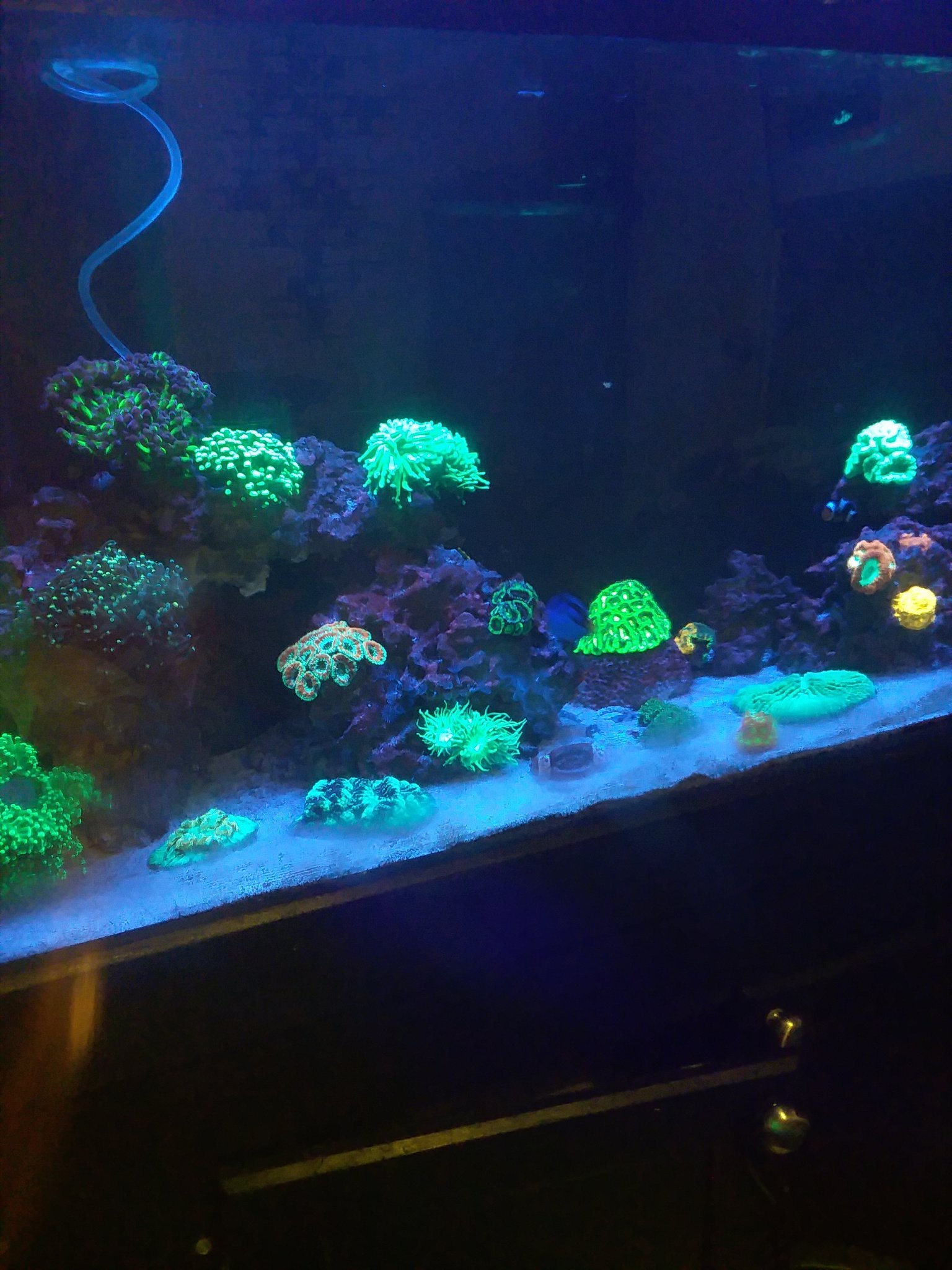 JustinHandley11's profile picture. Reeffing and gameing