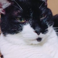 uik (@uik14960716) 's Twitter Profile