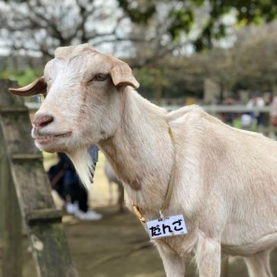 通りすがりの……
ユニコーン好きです(,,•﹏•,,)   ですが……      

一年前に『山猿』の歌を知ってちょっぴり音楽熱復活の兆し(*´ω｀*)