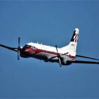 テルル (@tf_435sqn) Twitter profile photo