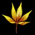 420vidz (@420vidz) Twitter profile photo 420vidz (@420vidz) Twitter profile photo