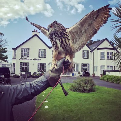 The historic guesthouse on Dingle Harbour. 1969 home of Robert Mitchum. Library bar, Falconry School, Wolfhounds, epic views, warm welcome