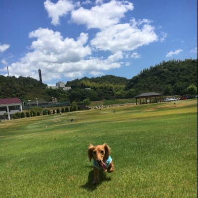 KazuoIsshou's profile picture. #ダックスフンド #がんばれカープ #好き いろんなことに #挑戦 してみたい！ 楽しく繋がれる方気軽に #フォロー お願いします。 #釣り🎣🎣🎣 好き❣️⛳️ #アオリイカ ラーメン🍜大好き