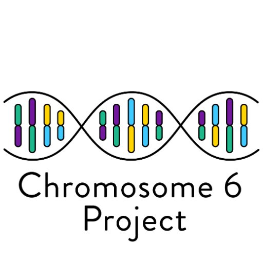 Parent-driven research on individuals with #Chromosome6 disorders (deletion and duplication) #ProfessorConny @UMCG #Awareness #worldwide 🌏 #crowdfunding