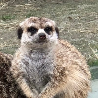 6GOc2maQPmhXRD1's profile picture. 総合病院でなんちゃって情シスしてます。診療情報管理やシステム管理の情報交換ができればと思います。無言フォローすいません(..)メモ的なツイート多。気軽に話しかけてください(^^) #診療情報管理士 #医療情報技師 #医療事務 #病院事務