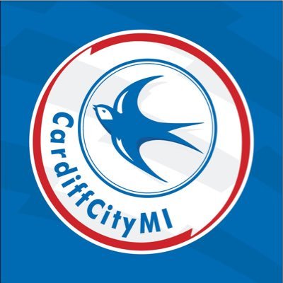 CardiffCityMI Profile Picture
