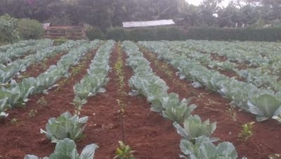 zuri81254653's profile picture. Started in the future