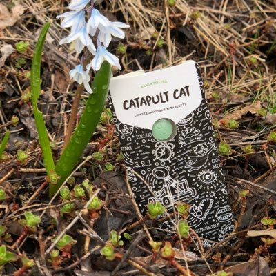 I am Catapult Cat, let's drink smart, drink healthily. #catapultcatglobal #drinksmart Follow my instagram: https://t.co/8EiQBr3ZUJ