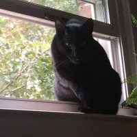 Squeaky🏳️‍🌈 (@squeaky56627517) 's Twitter Profile