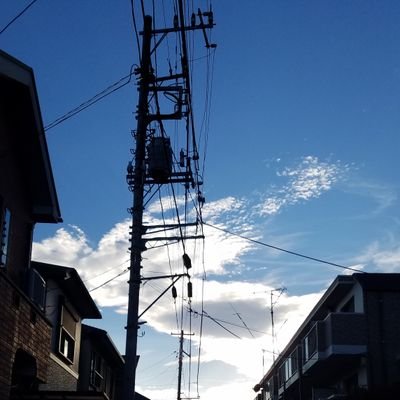 蘭さんのプロフィール画像