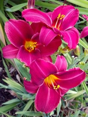 cb7580's profile picture. 