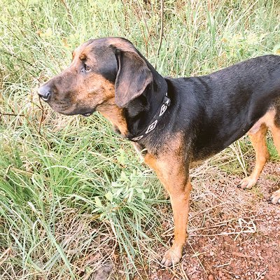 cjnick84's profile picture. 