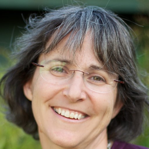 Professor @UCSB, advisor of @SpaceComputerIO, @LyquorLabs, @Nubit_org, @EspressoSys, former chief scientist @ChainlinkLabs, former CTO @DiemAssociation