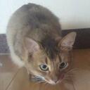 JEONG HWAN, KIM - @soo_bak - Twitter