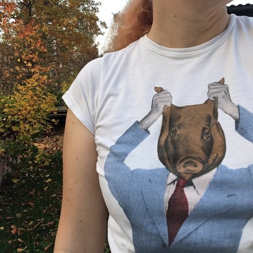 nikkaannika's profile picture. We'll be the wild ones running with the dogs today