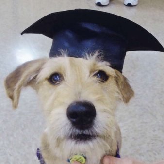 JohnGavenas's profile picture. 