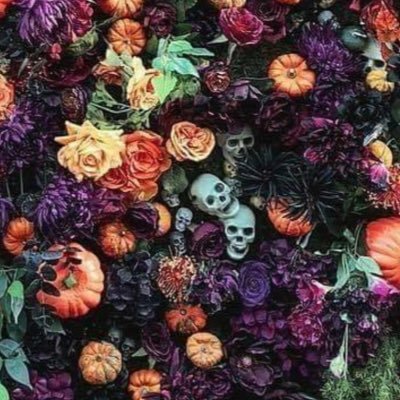 YasminA00085341's profile picture. 