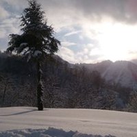 ＮＧＫ (@abcgotk) Twitter profile photo