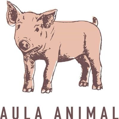 AulaAnimal Profile Picture