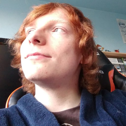archina2255's profile picture. Game collector, speedrunner, arcade enthusiast and general tech support. Feel free to say hi!