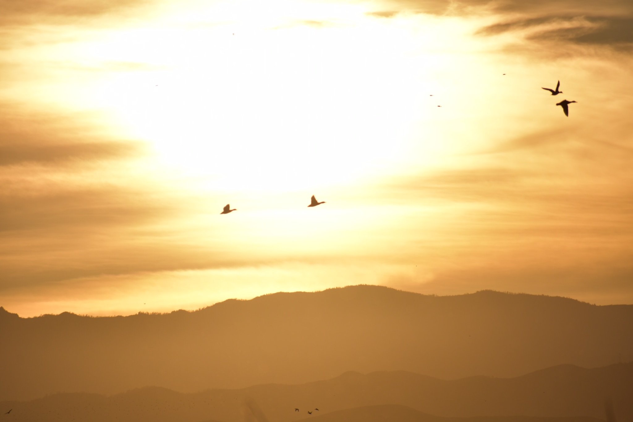 YongPeng13's profile picture. 