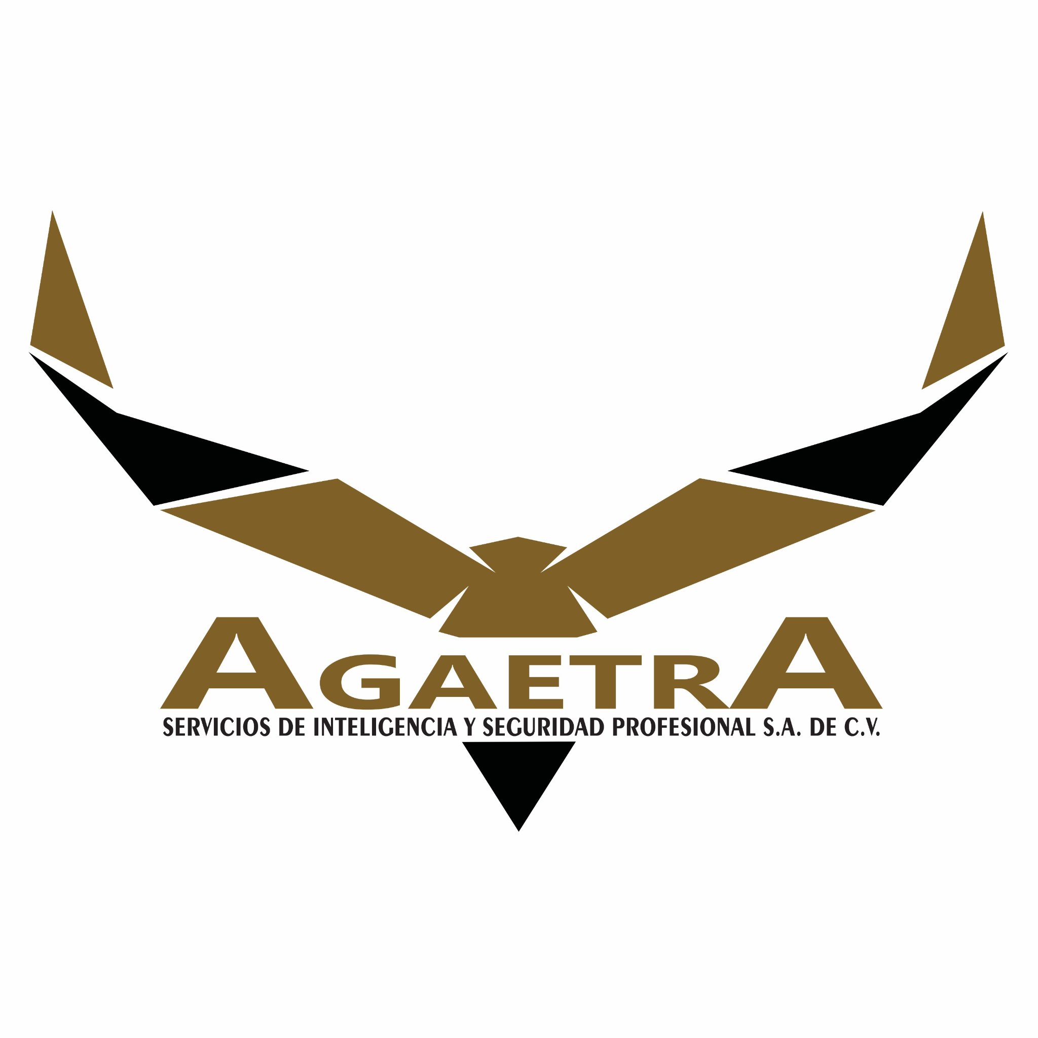 Somos una empresa mexicana dedicada a la seguridad privada, cuyo principal objetivo es salvaguardar la integridad física y el patrimonio de nuestros clientes.