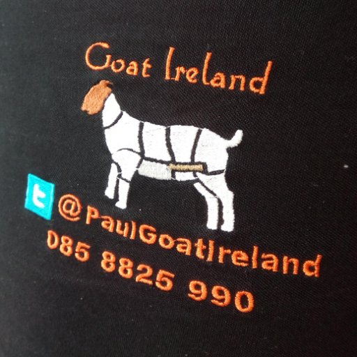 Goat Ireland The Irish Goat Meat Farm