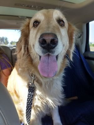 Kathi_O5's profile picture. long suffering Mets fan; LFGM