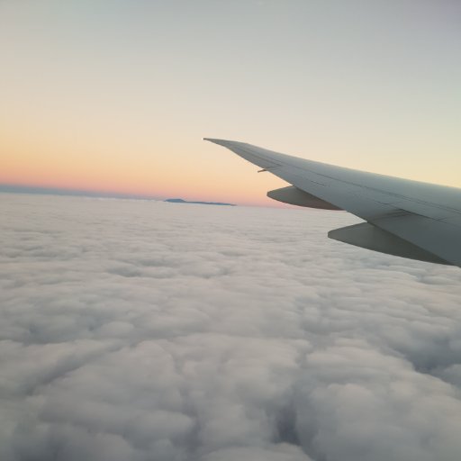 Zohardus's profile picture. 🇷🇪