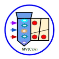 Cytometrist, Experience in multiplex Leukemia & Lymphoma testing. Interest in Flow validations  and high dimensional flow cytometry data analysis.