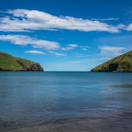 CamNevin1's profile picture. 