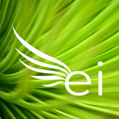 We provide healing imagery + video + aerial artwork, that are unique & custom to your health & wellness spaces.
