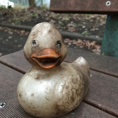 urapico's profile picture. おじさん、デベロッパー

https://t.co/xLOh73SNpo