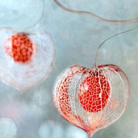 Smadar Zemp (@smadarzmp) 's Twitter Profile Photo Smadar Zemp (@smadarzmp) 's Twitter Profile Photo