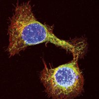 Marciniak Lab (@marciniaklab) 's Twitter Profile