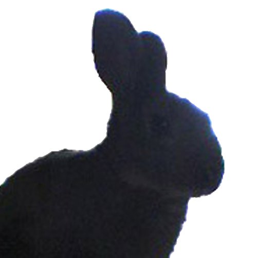 Nimmさんのプロフィール画像