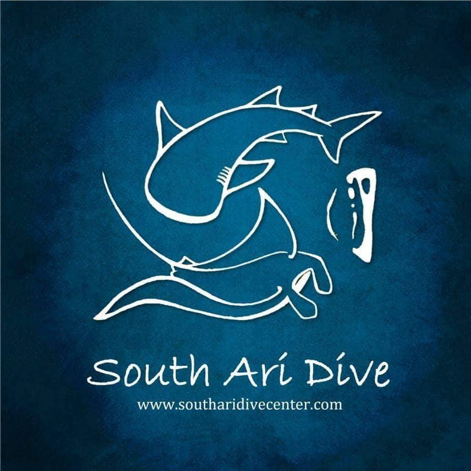 Scuba Dive Center
🏠 South Ari Dive 
📌 Dhangethi, Maldives
🐳Whale shark Diving 
✉ info@southaridivecenter.com

https://t.co/VBmohKKtOz