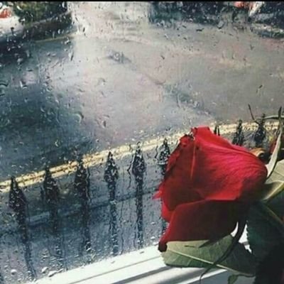 NJOOD80622848's profile picture. 